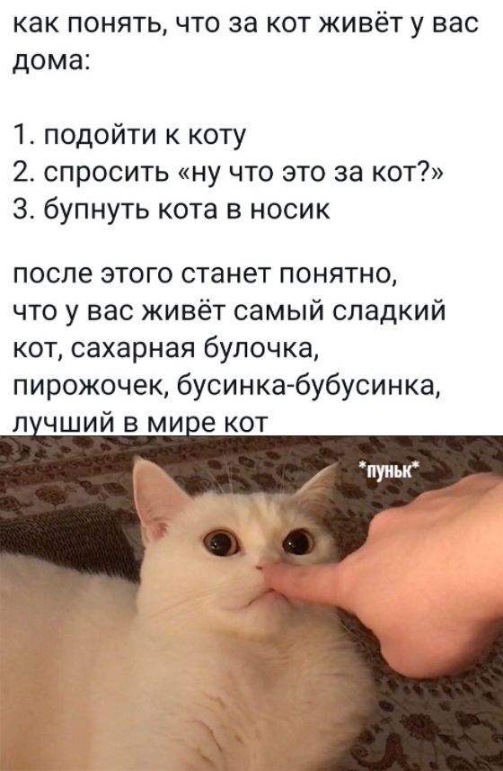 ��� �������: ��, ��� ������. ����� �����. �������.
