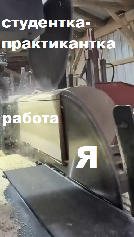 Ответ на пост «Пилорама»