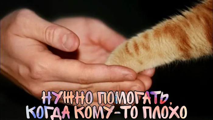 Ответ на пост «Работать..не?)»