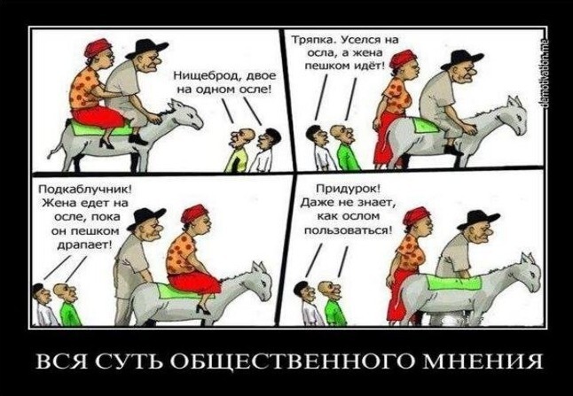 ����� ����������, ������ �������, ������� ������ � ����������� ���. ���� ��������