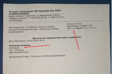 Иллюстрация к комментарию