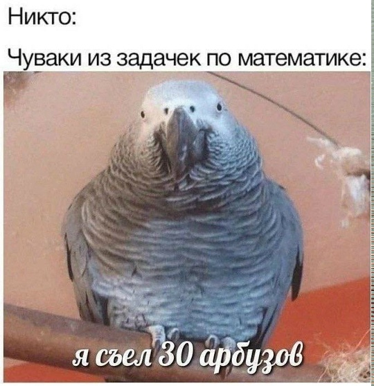 ������ ��� ���� � ������