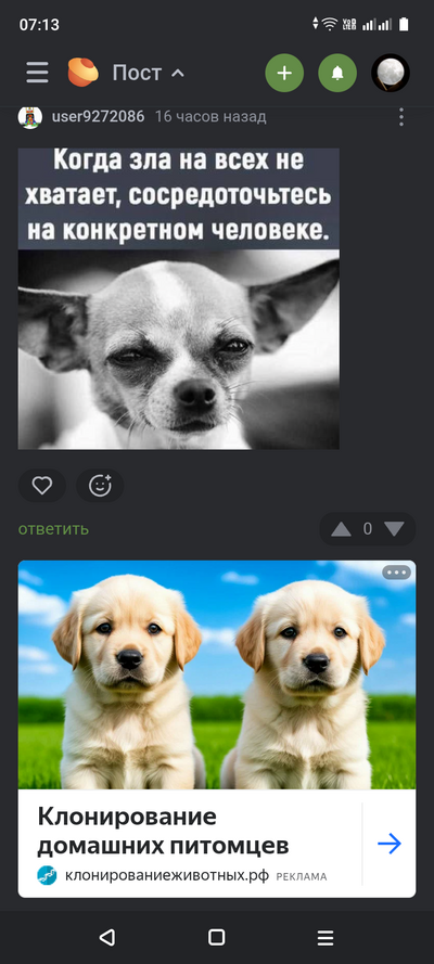 ����������� � �����������