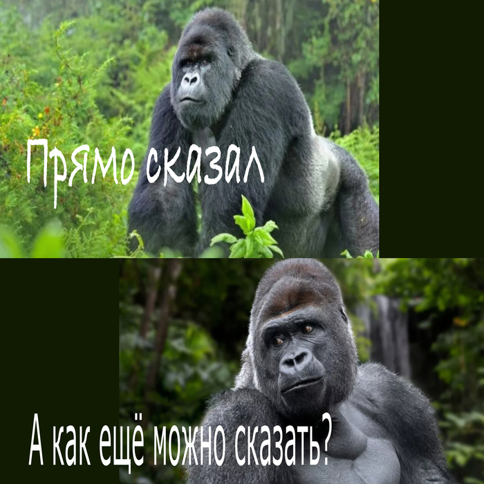 ����� ������!