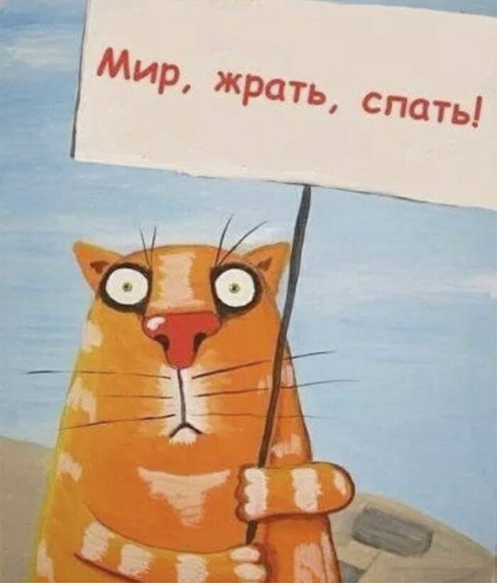 � ����� ���� ����