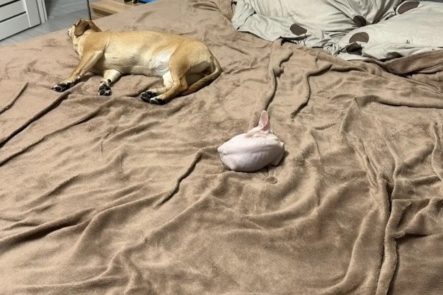 ����