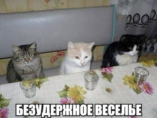 Какой сегодня праздник? 03.05