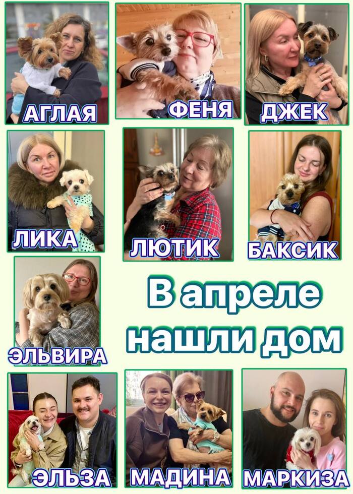 ������� ������ �����