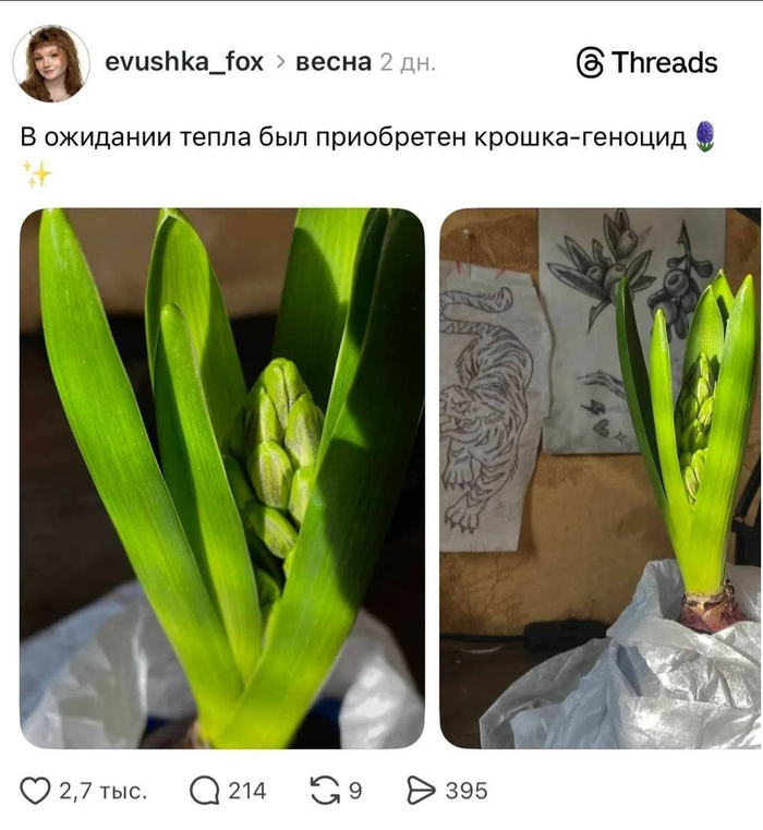 � � ��� ���� ���� �������?