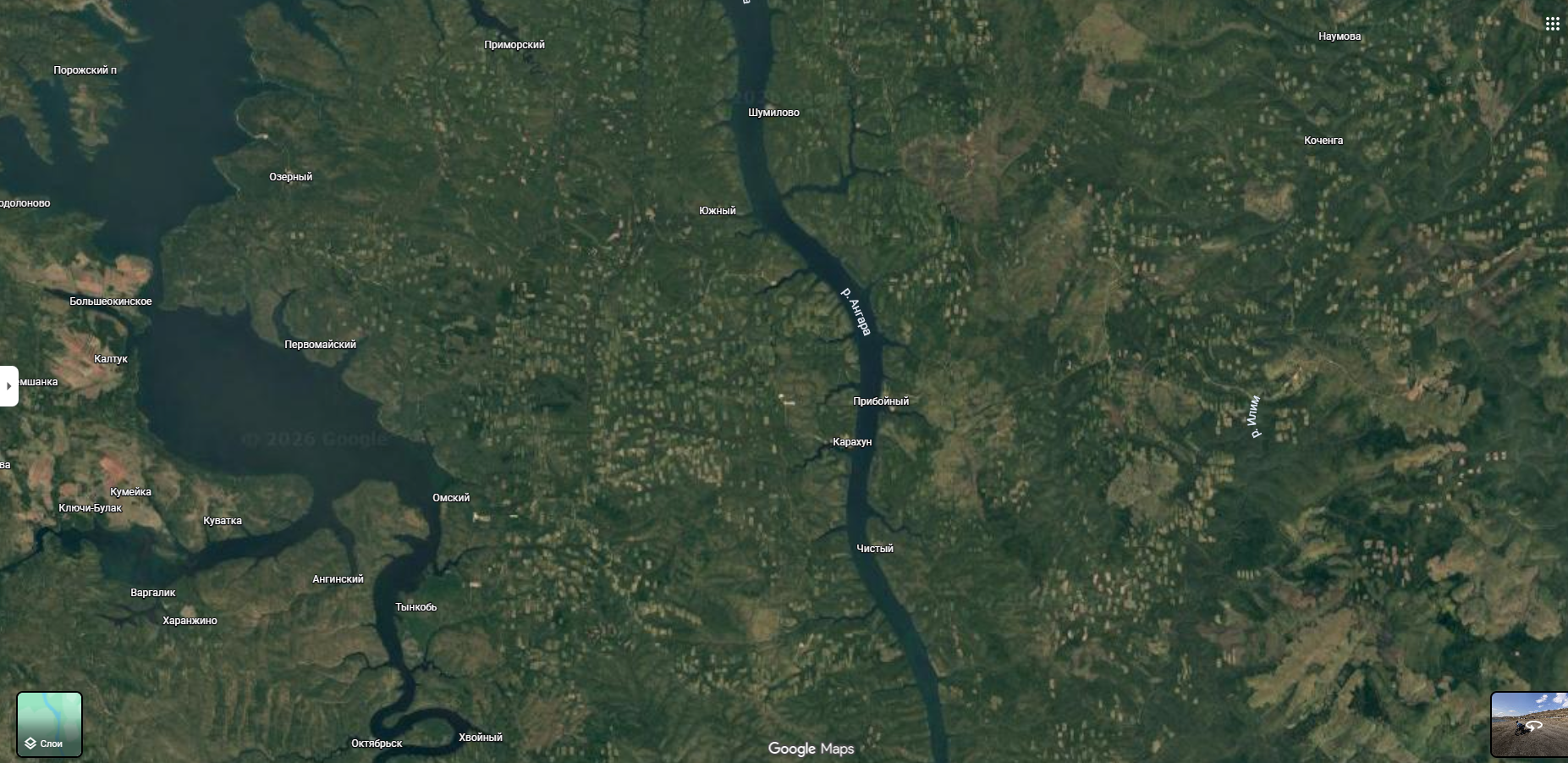 Look how the taiga is being cut down - Google maps, Forest