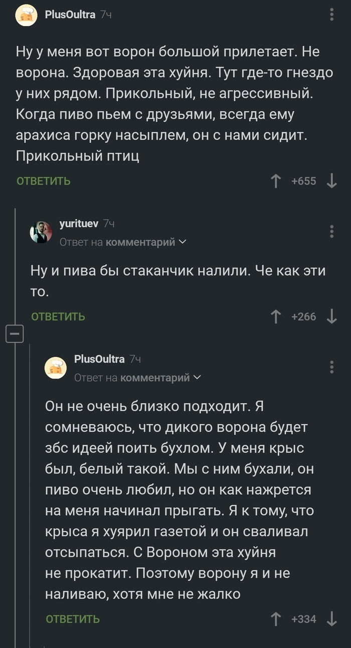 ������ �� ��������