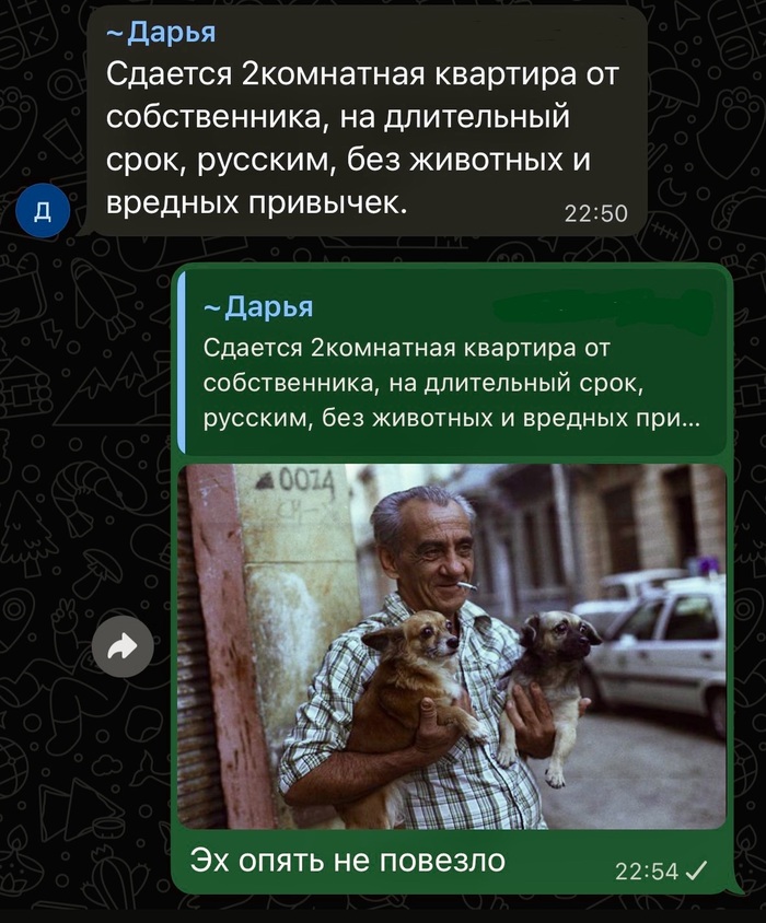 Собачек жалко