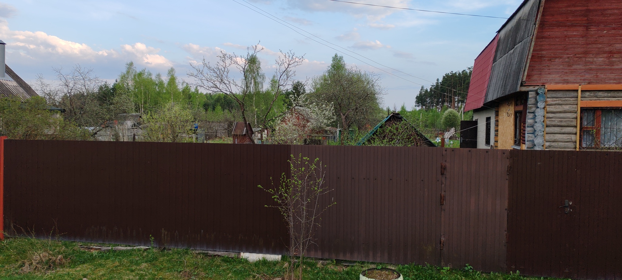 Simple village happiness - Series Our Village House, My, Village, Spring, Gardens, Joy, Walk, Forest, Bloom, Airplane, Starling, House, Nature, dawn, Sunset, The sun, Water, MKAD, Text, Longpost