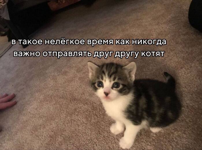�������, ��������!