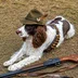 izbushka86
