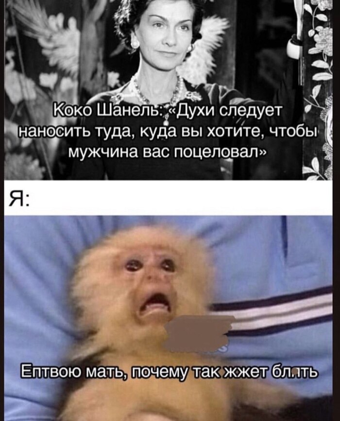 ������ ������ �������