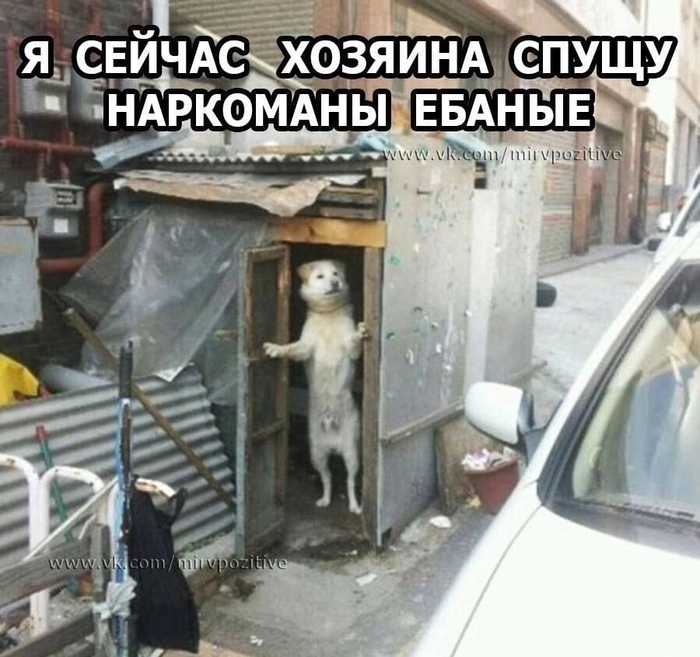 ����� �� ���� �������������� ������