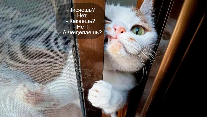 ��������� �������