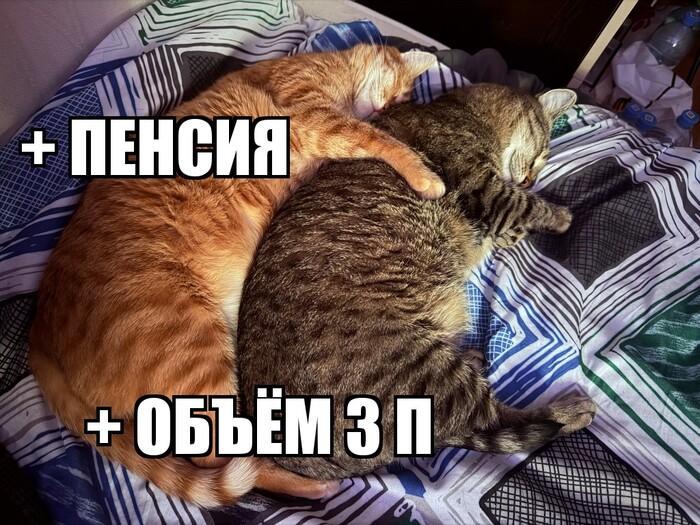 ����� �� ���� ���������� ������� ��������