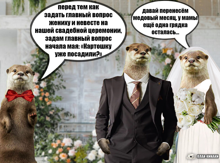 ������� ������ ������ ��� ������