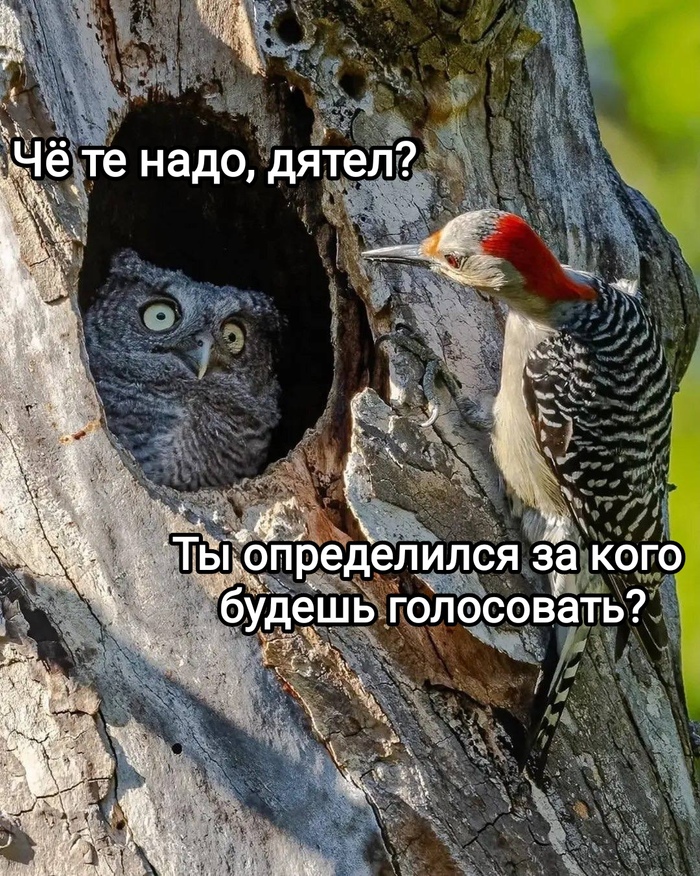 ����� �� ���� �������� �� ����� ����
