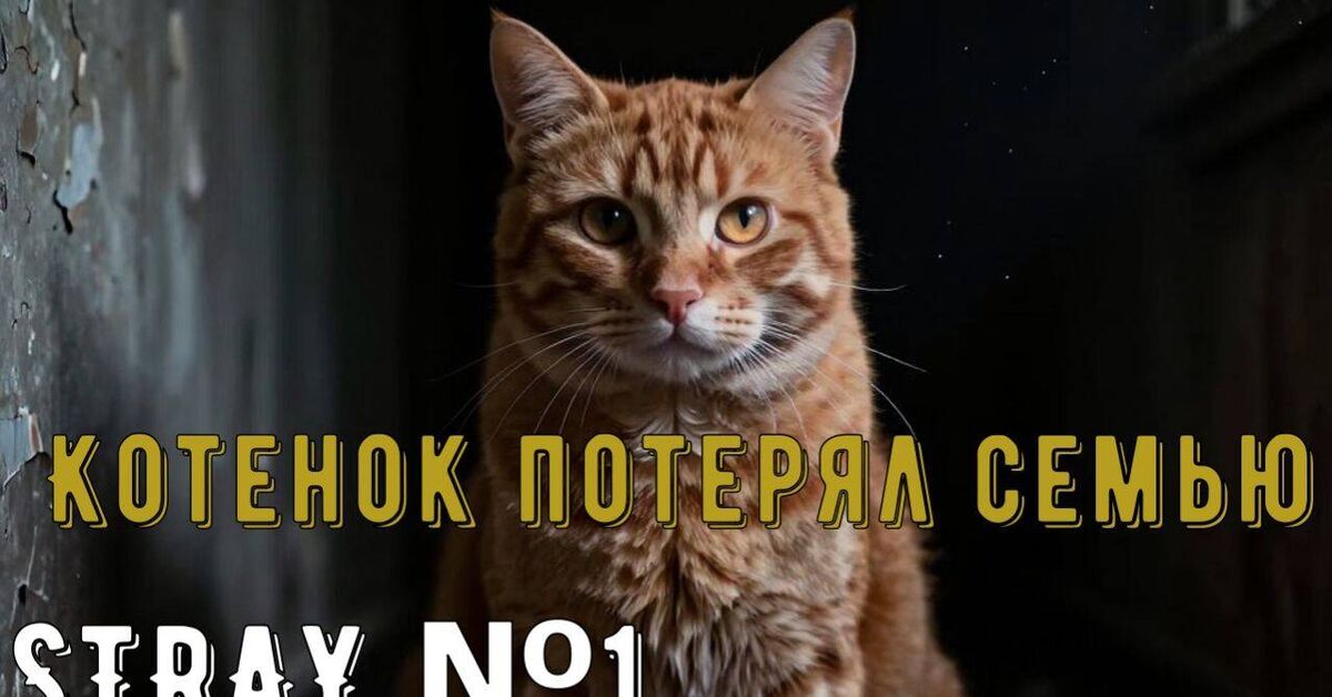 Stray.  Геймплей и Прохождение#1 - Моё, Игры, Stray, Прохождение, Ищу игру, Новости игрового мира, Хоррор игра, Моды, Видео, Rutube