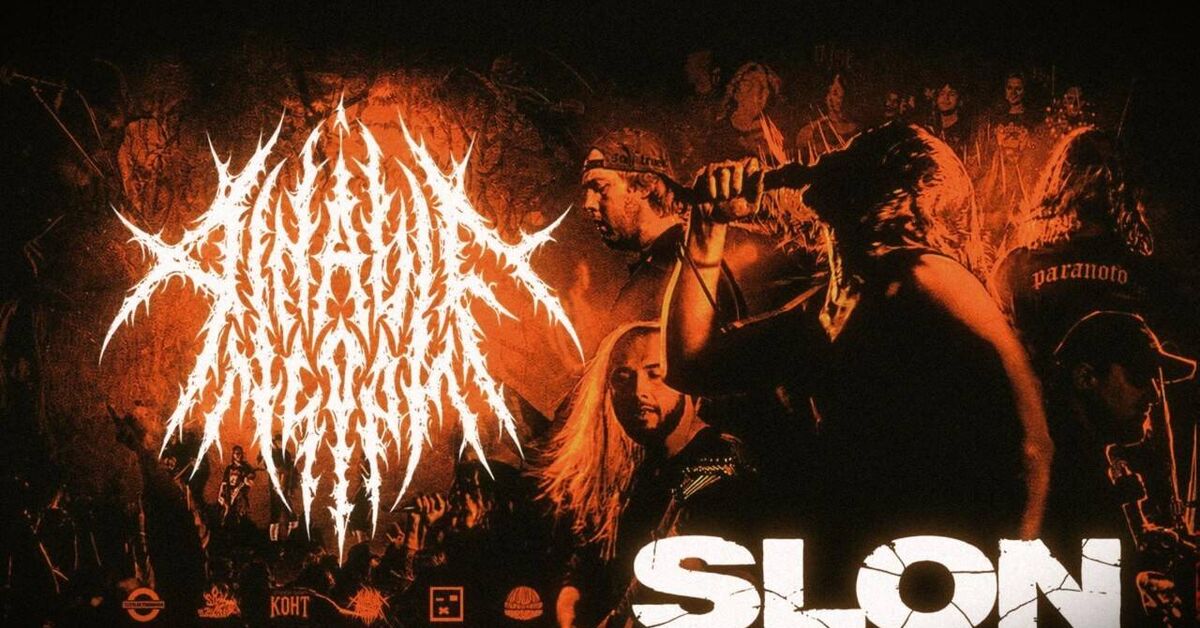 Brutal grindcore for brutal elephants - My, Metal, Grindcore, Music, Musical group, Concert, Rock concert, Scene, Video, Youtube