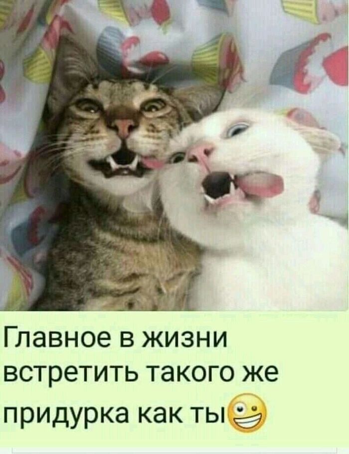 ��� ������ ����