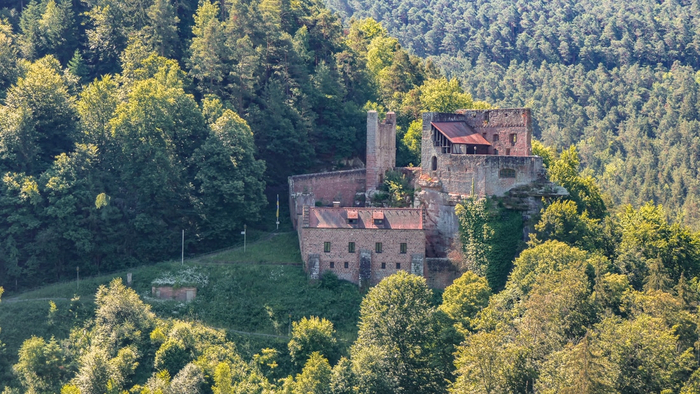 Burgruine Spangenberg (������ Erfenstein, 67466 Esthal) � ��� ����� �� ����� � ����. ����������� � ������ ����������.
