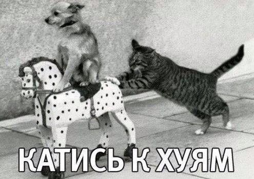 Дмитрию Назарову и его жене