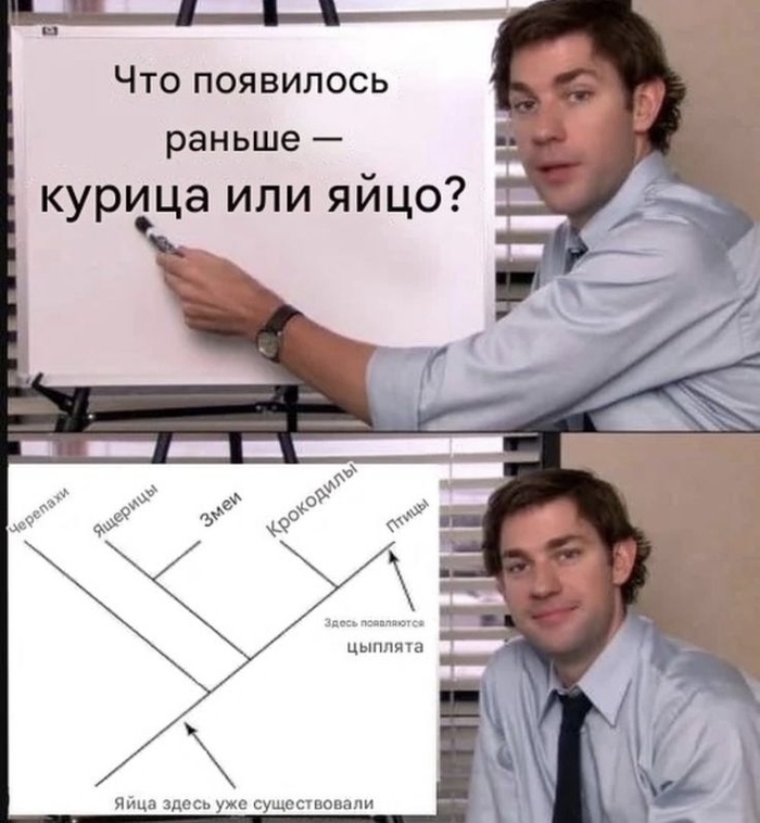 ���� ��������� ������ ������