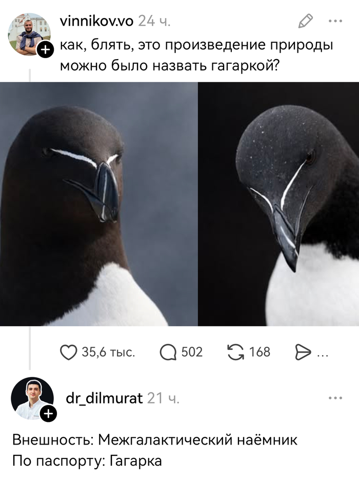 Птица киберпанк