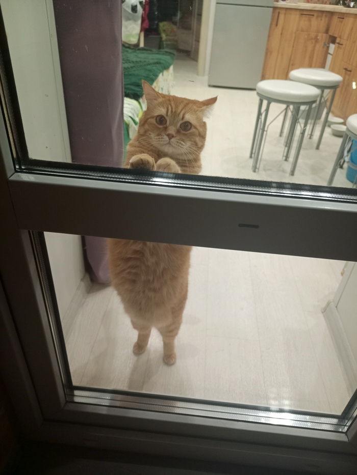 � �������, ��� �� ������ ��� ������