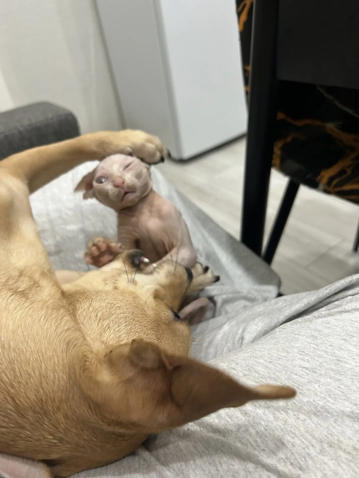 � ������ ����� � ������������ �������������