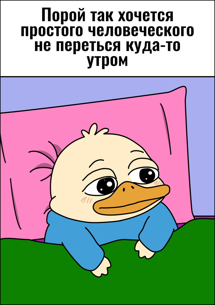 ������� ��������������� ����