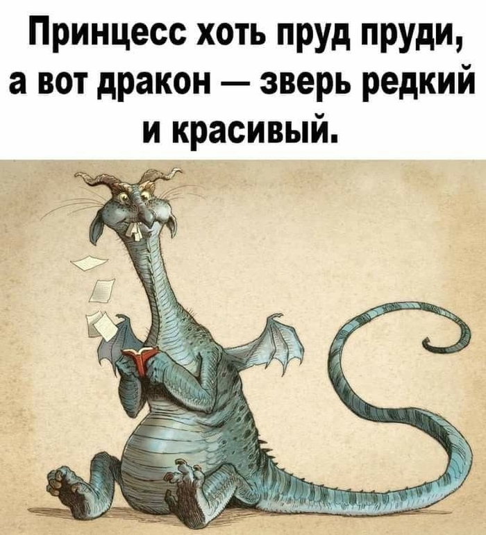 ������ �������� ���