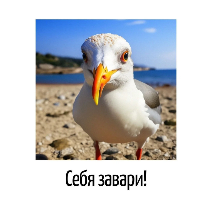 ����� ��������?