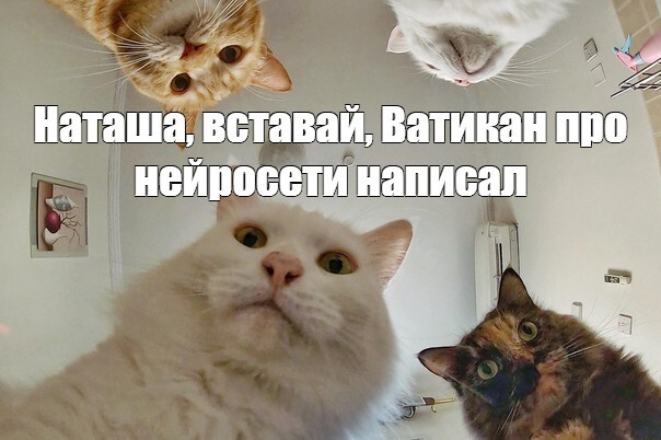 ���� ������� ��������� �� � ������������ ���������