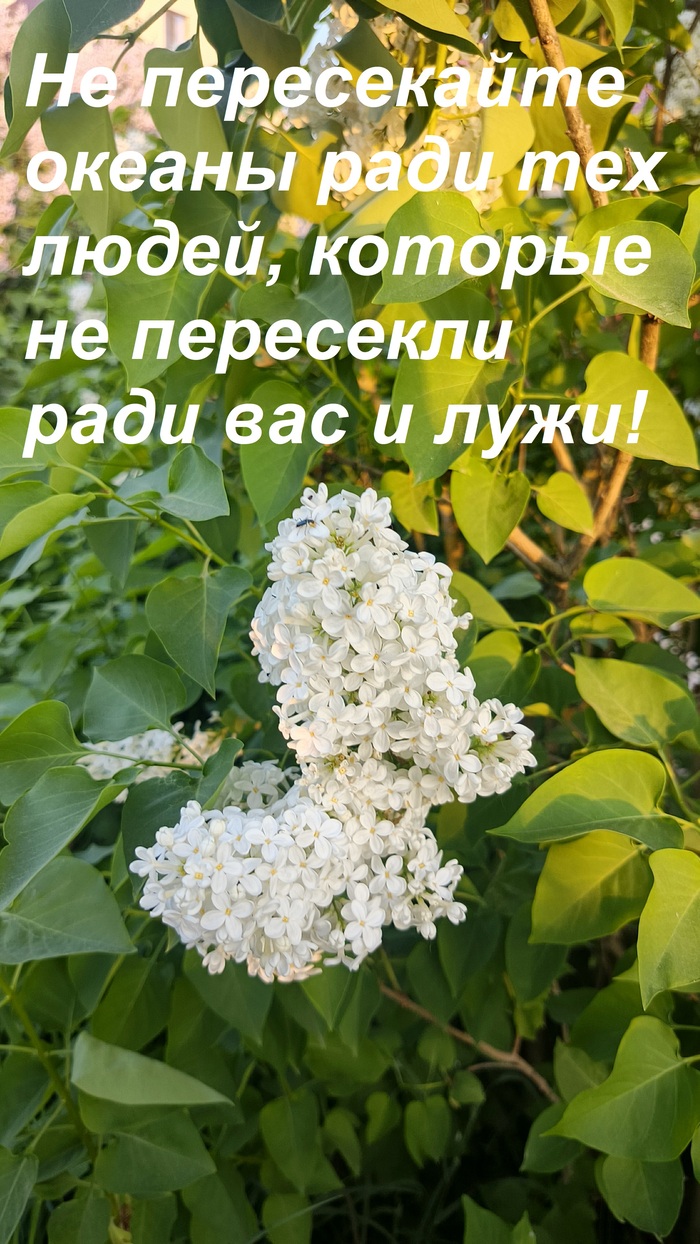 ������, � � �����, ��� ��� ������