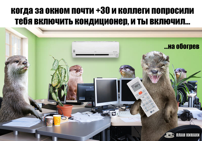 Главный розыгрыш сезона