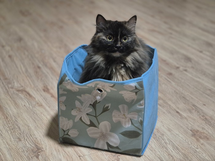 Это моя коробка. Таких коробок много, но это моя!
