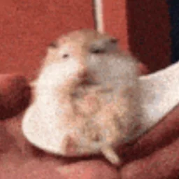 nerfrog