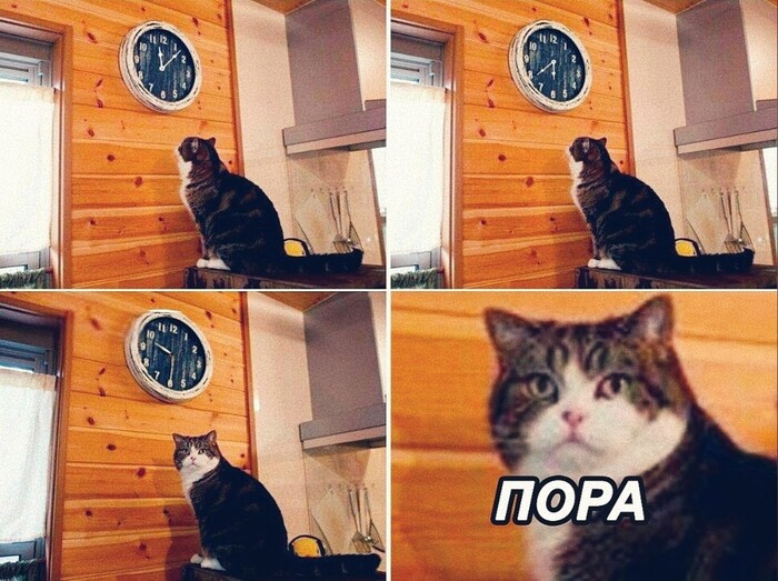 В домике