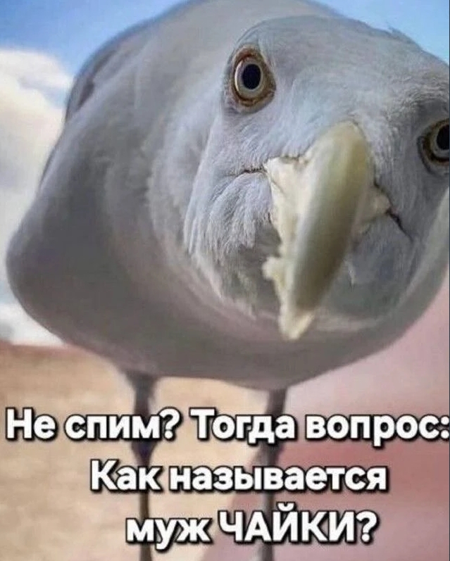 ������ �� �������
