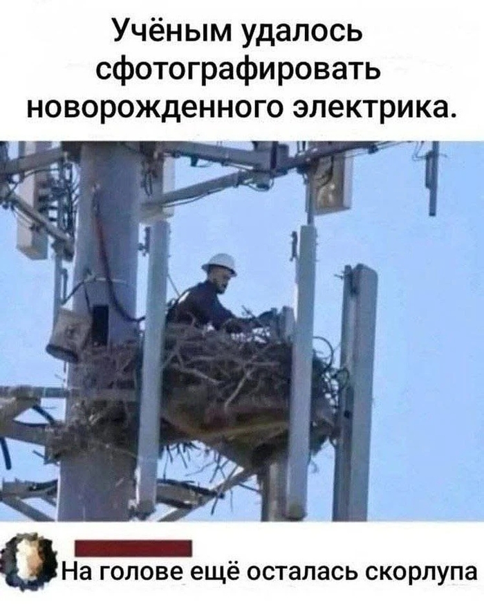 ��� ��� ��� ���� �������...