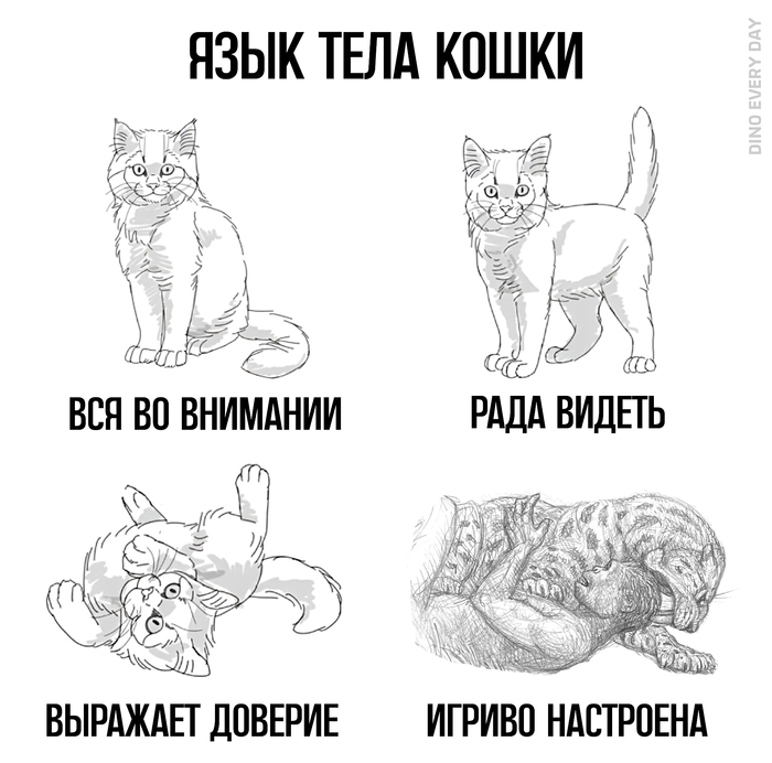������ � ������� �����: <a href="https://pikabu.ru/story/ded_13998404?u=https%3A%2F%2Ft.me%2Fdinoeveryday&t=DED&h=0a9bb767c04e75f42e375e750f00431b40c8649a" title="https://t.me/dinoeveryday" target="_blank" rel="nofollow noopener">DED</a>