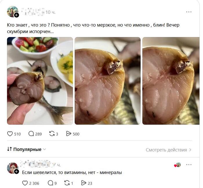 ����� ����� ���������