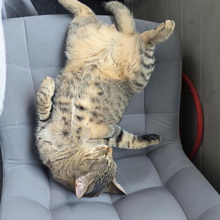 ���� ������� ������� ��� ���� � ��� �����