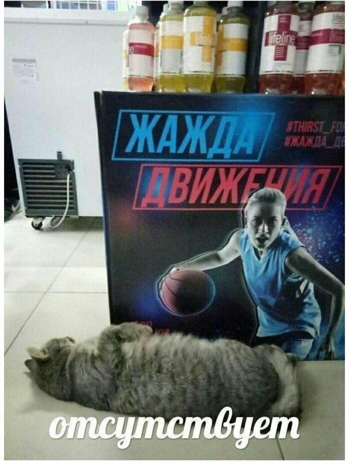 ������� ����