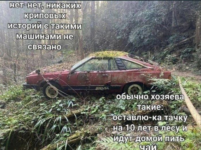 Никаких криповых историй